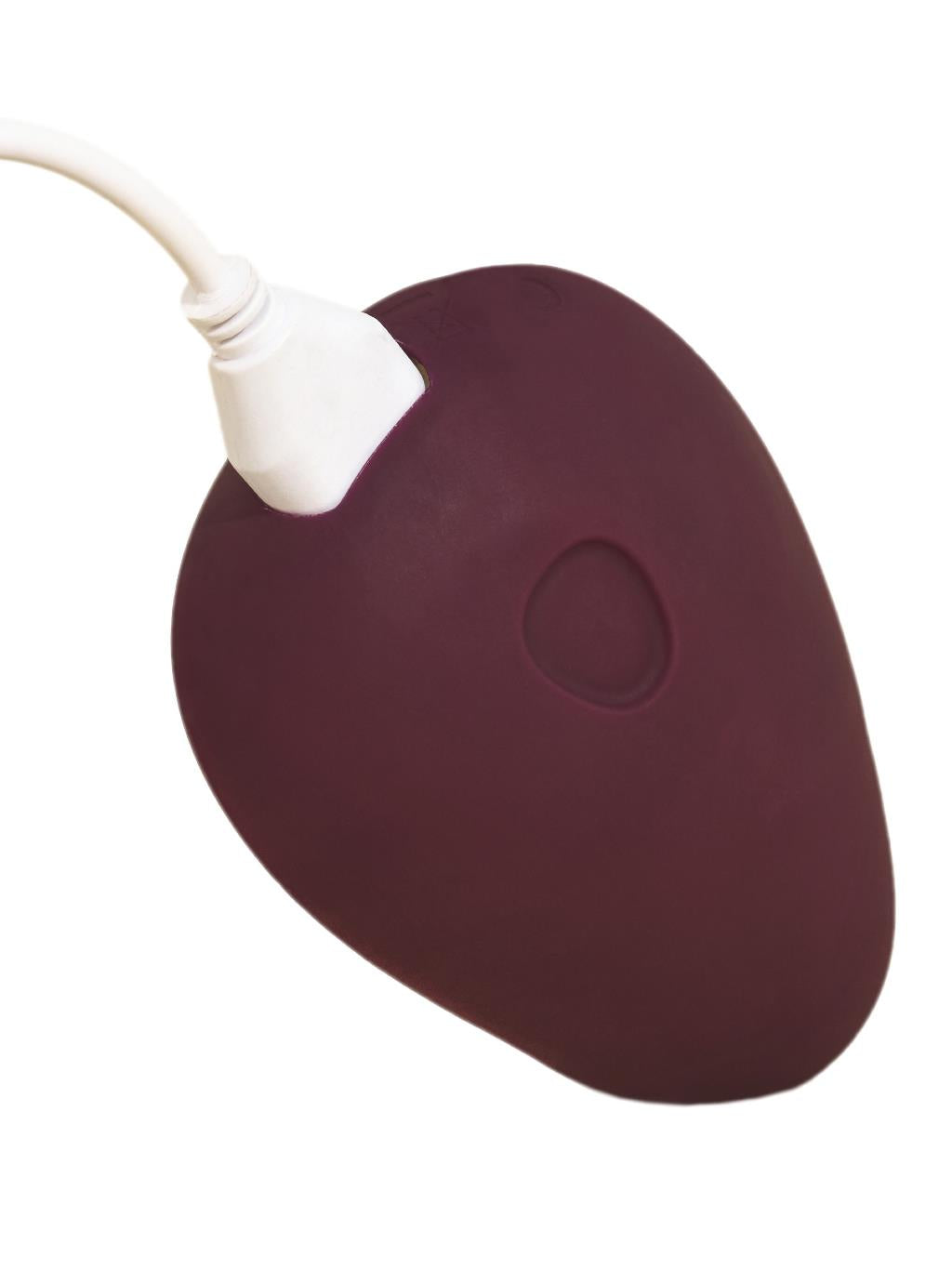 Dame Pom Vibrator Plum recharging